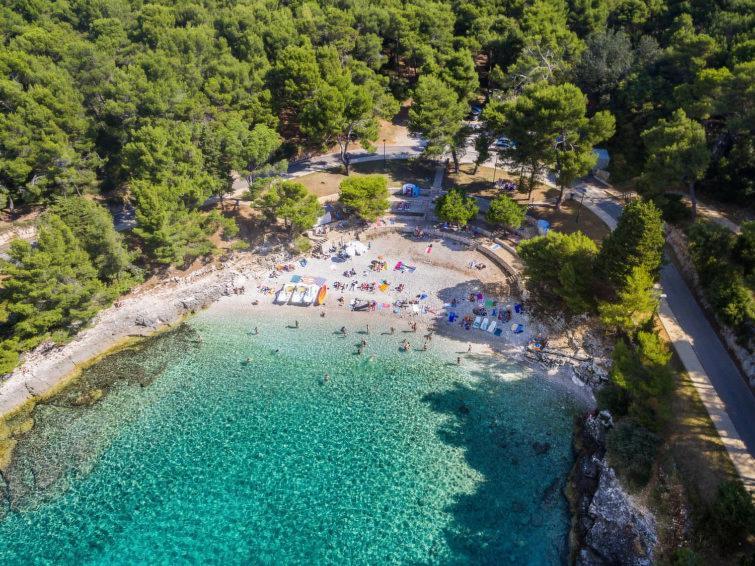 House Divna Villa Valbandon Dış mekan fotoğraf